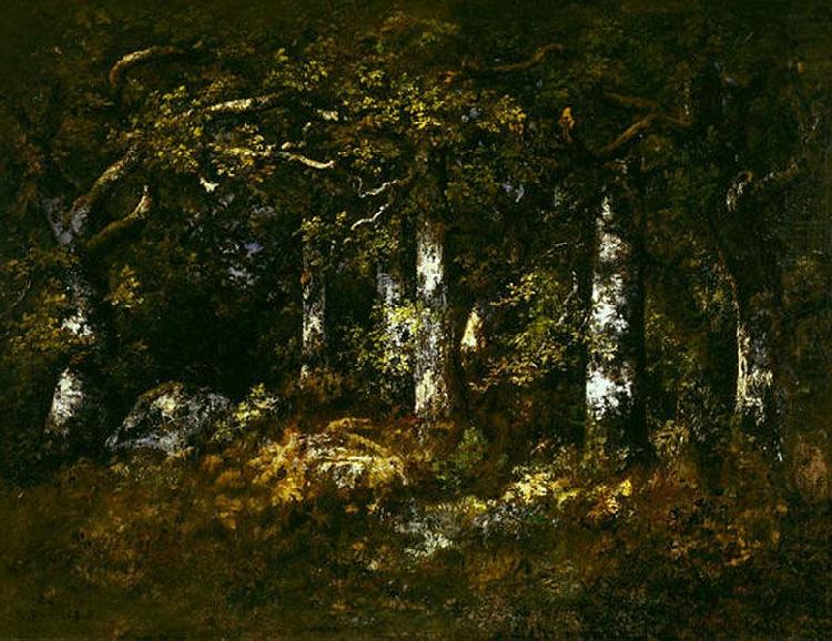 Forest of Fontainebleau, unknow artist